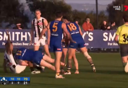 Former Demon wins himself free kick, 50m penalty with all-time umpire con job in the VFL